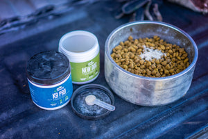 K9 Athlete Supplements - Western Hunter Magazine