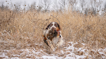 Seasoned Noses Never Fade - Western Hunter Magazine
