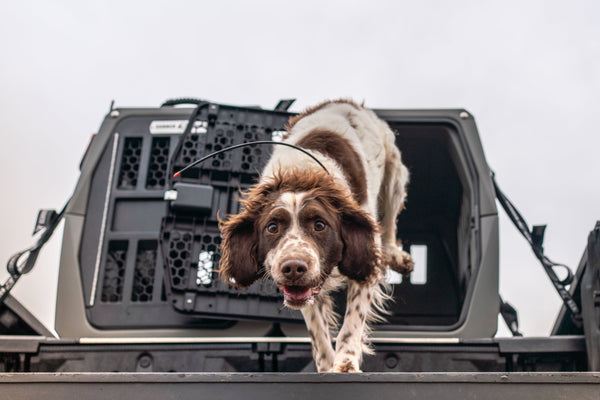 Gunner Kennels - Western Hunter Gear Review