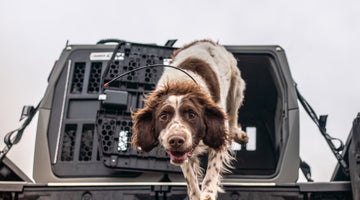 Gunner Kennels - Western Hunter Gear Review
