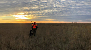 New Horizons.