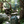 Load image into Gallery viewer, KATADYN OPTION THE COMPLETE DRIFTER LITE HYDRATION SYSTEM
