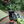 THE COMPLETE DRIFTER LITE HYDRATION SYSTEM