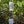 TRANSPORTER WATER BAG