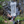 Load image into Gallery viewer, TRANSPORTER WATER BAG
