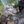 TRANSPORTER WATER BAG
