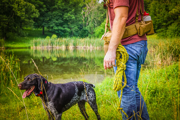 dog training side view